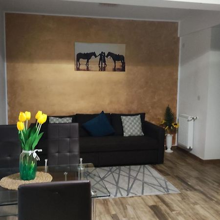 Apartament Lenus'K Appartement Boekarest Buitenkant foto